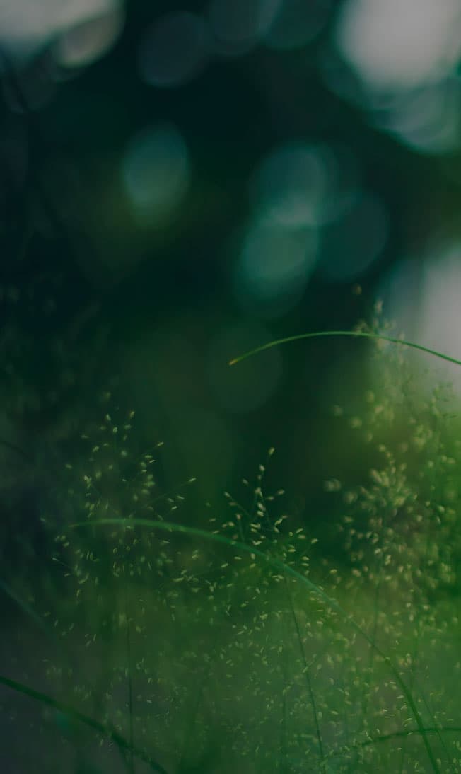 Contact page background