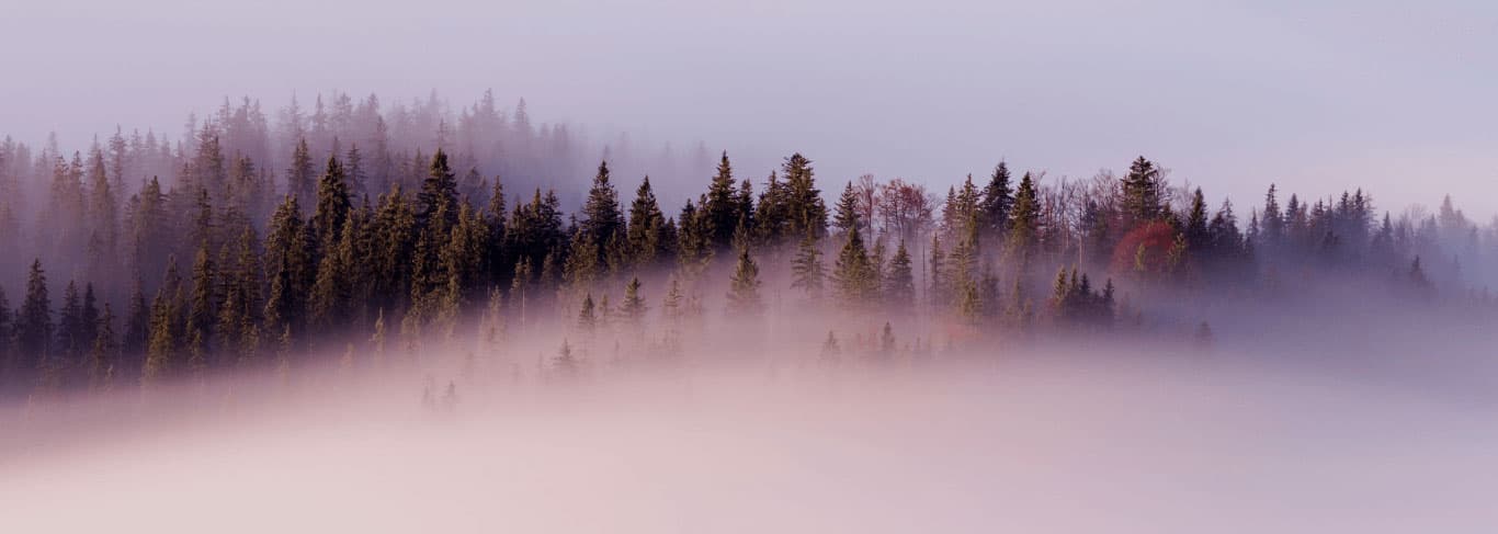 Moccasin history banner